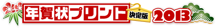 �N���v�����g����� 2013