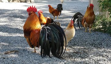 ���w�ɍs�������I�_��10�I