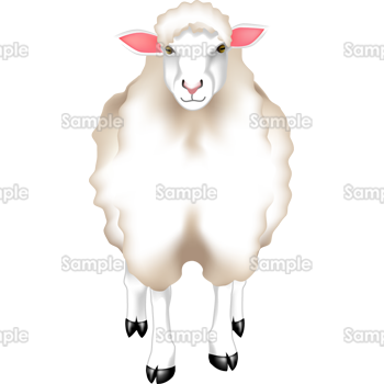 かわいい動物画像 ロイヤリティフリーリアル おしゃれ 羊 イラスト