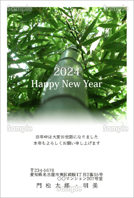 シンプルな竹の写真-フォーマル年賀状