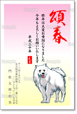 美しいサモエド犬 カジュアル テンプレート 年賀状プリント決定版 21