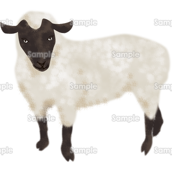 黒い顔の羊 無料イラスト 年賀状プリント決定版 2021