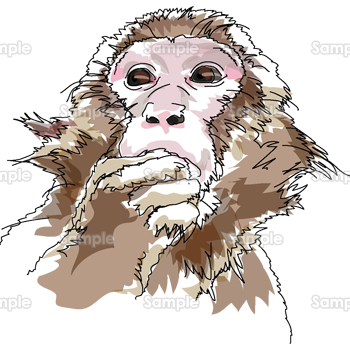 すべての動物の画像 トップ100かっこいい おしゃれ 猿 イラスト