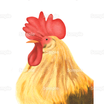 ベストセレクション 鶏 イラスト リアル フリーアイコン イラスト素材の無料ダウンロード