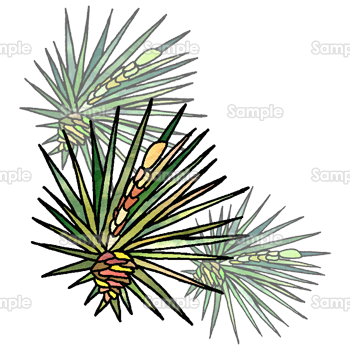 松ぼっくりと松葉 無料イラスト 年賀状プリント決定版 22