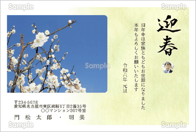 青空と梅と写真フレーム-ファミリー年賀状