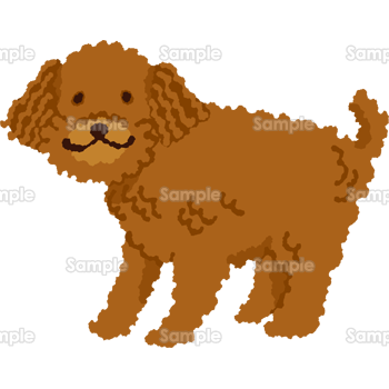 トイプードル 犬 イラスト 無料フリー 素材good