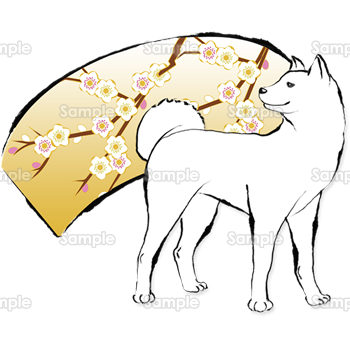 白い紀州犬と梅の扇